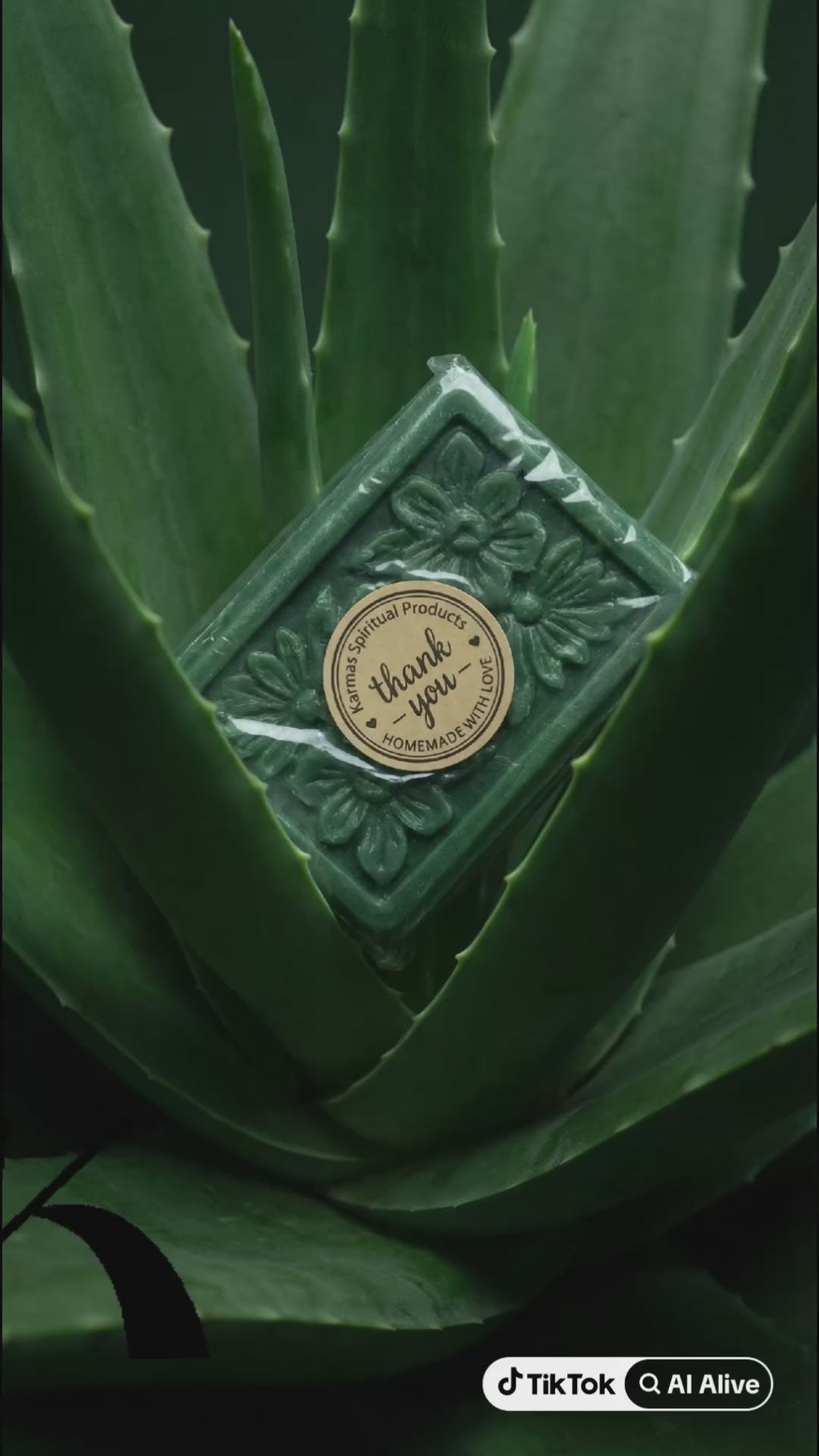 2 Bar Aloe vera Dread Loc Shampoo Bar